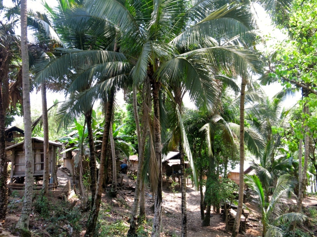 Ban Baw Village in the jungle
